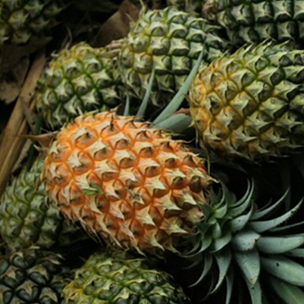Ananas Dole