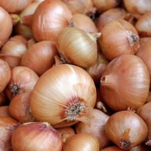Cipolle bionde
