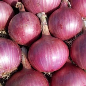 Cipolle rosse
