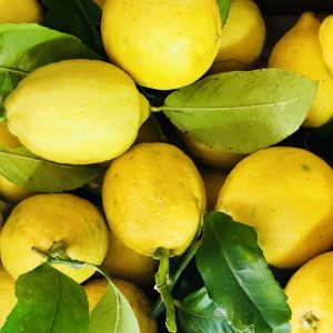 Limoni foglia