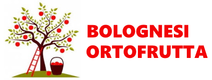 Bolognesi Ortofrutta