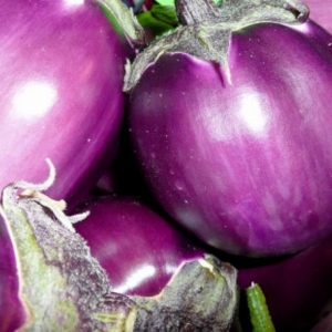 Melanzane viola