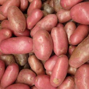 Patate rosse
