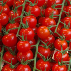 Pomodori ciliegino