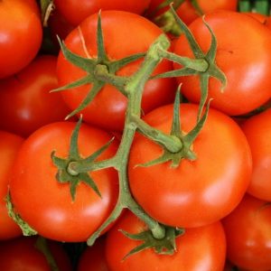 Pomodori maturi