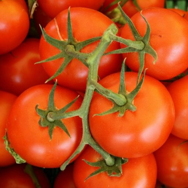 Pomodori maturi