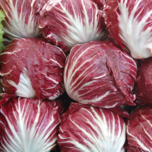Radicchio rosso