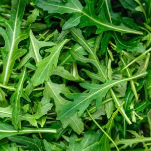 Rucola confezionata