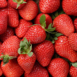 Fragole vaschette