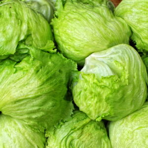 Insalata iceberg