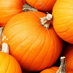 Zucca gialla